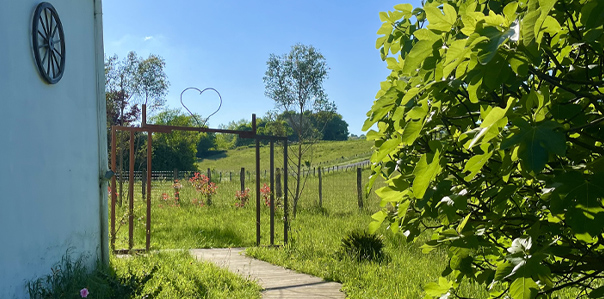 cabinet de kinésiologie à Bayonne