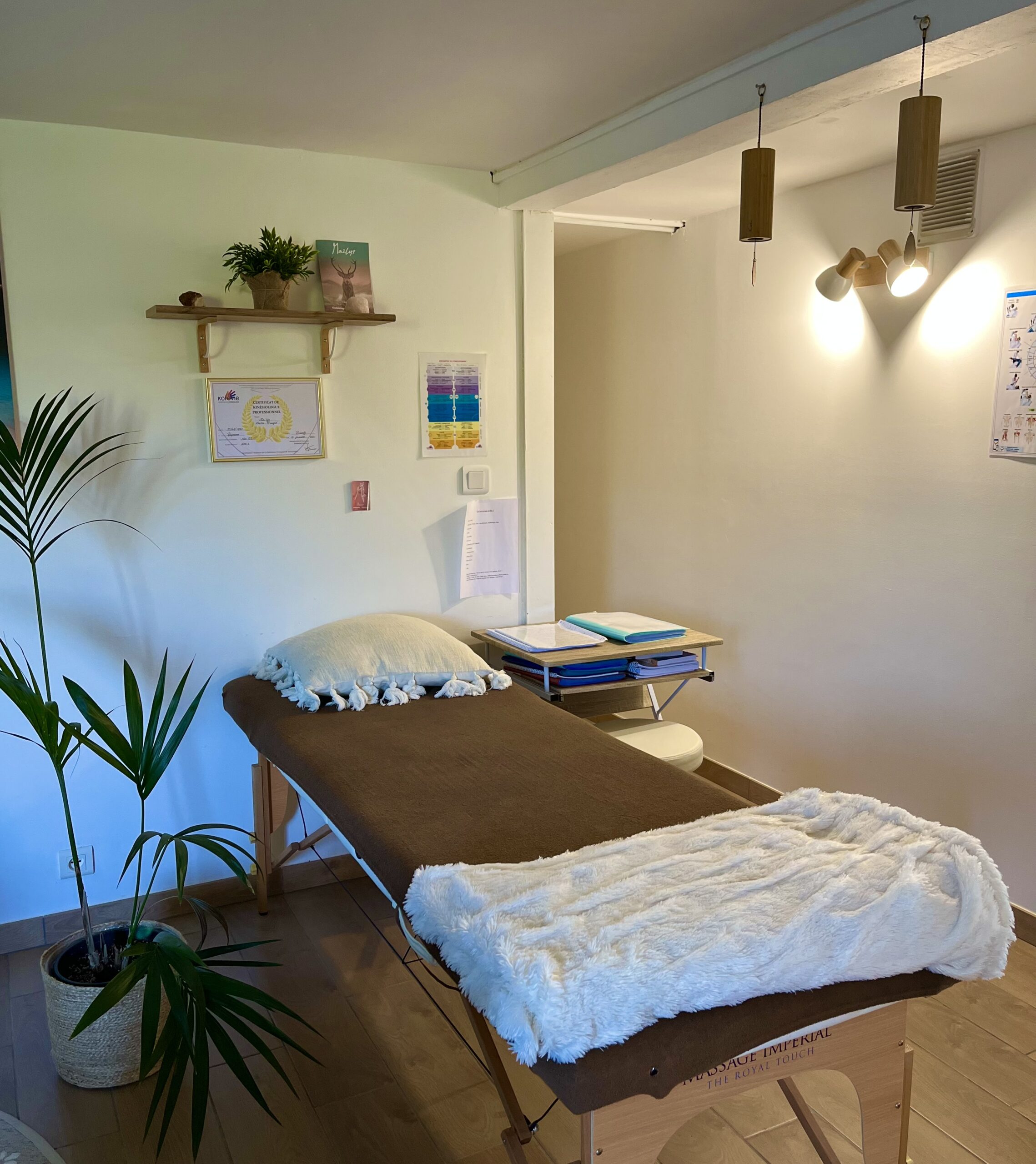 cabinet kinésiologie bardos