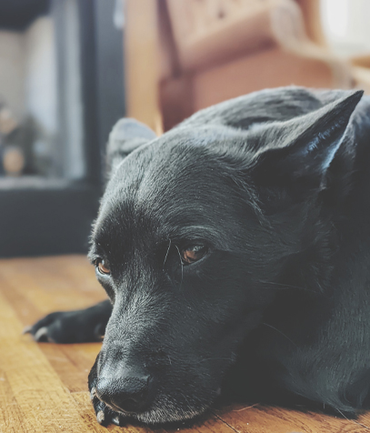 Difficultés relationnelles