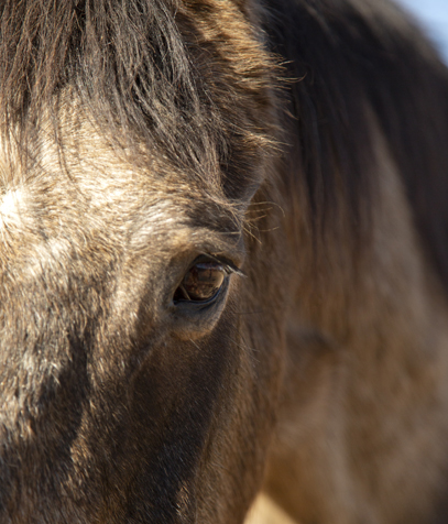 Troubles comportement